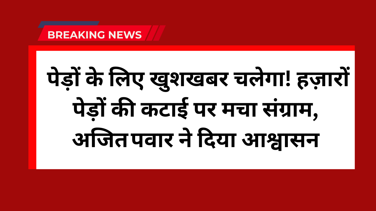 Tree cutting Mumbai news 2025