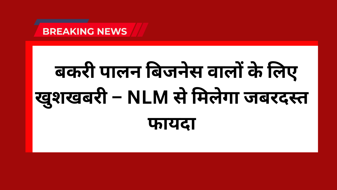 NLM Goat Farming Scheme
