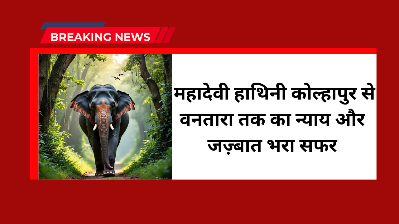 Mahadevi elephant Kolhapur