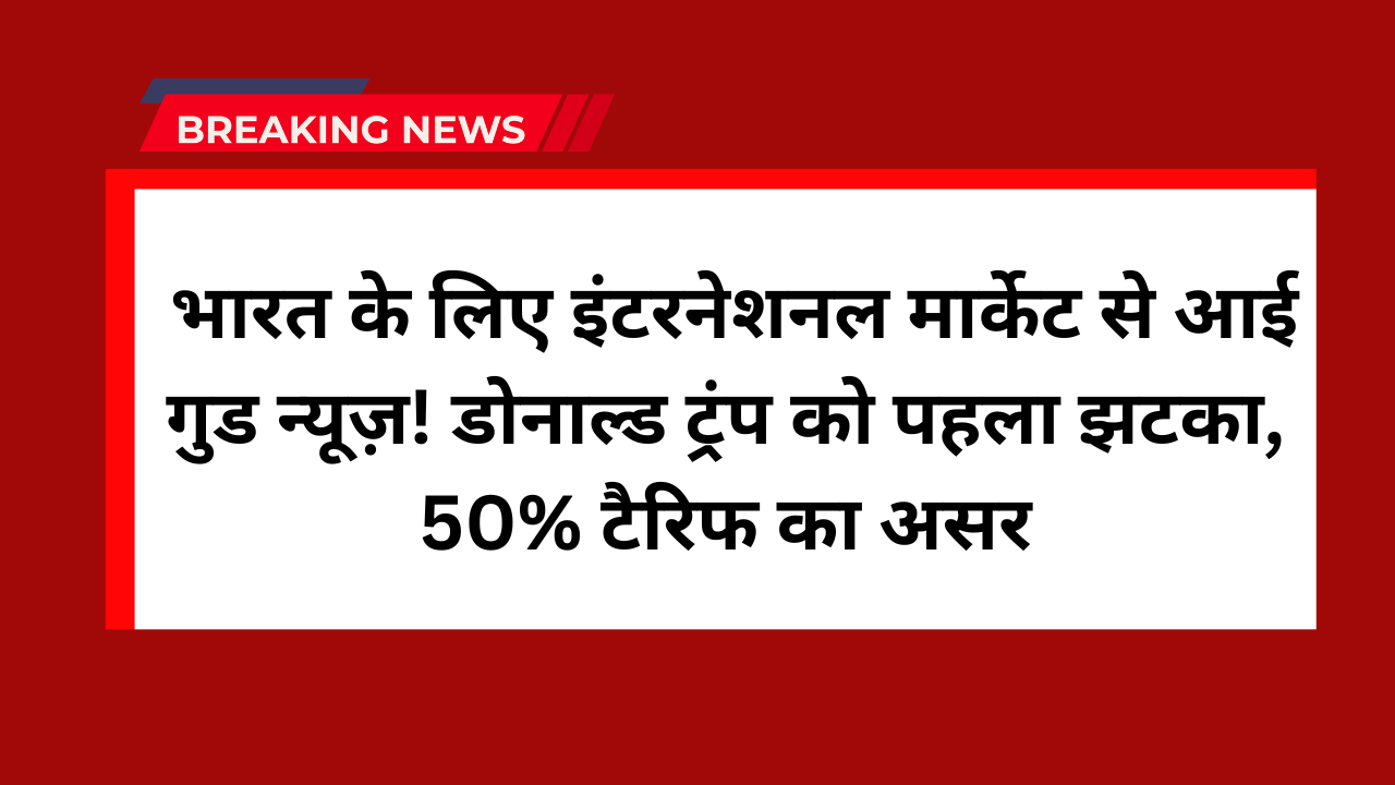 Donald Trump 50% tariff on India