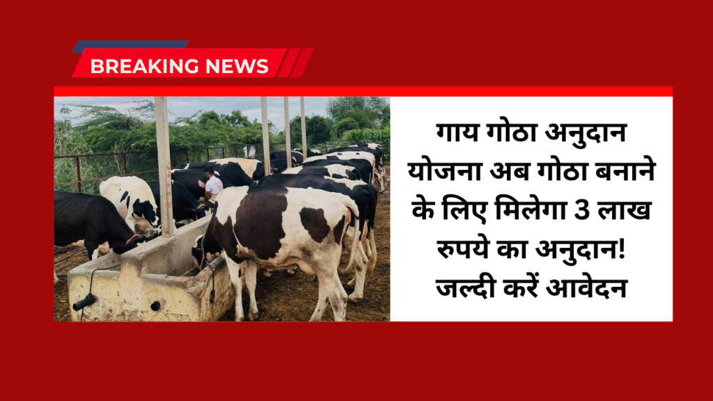 Gai Gotha Anudan Yojana 2025