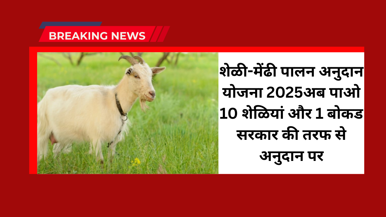 Government Goat Farming Scheme 2025