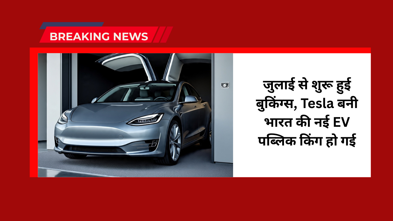 Tesla Pre Booking Record