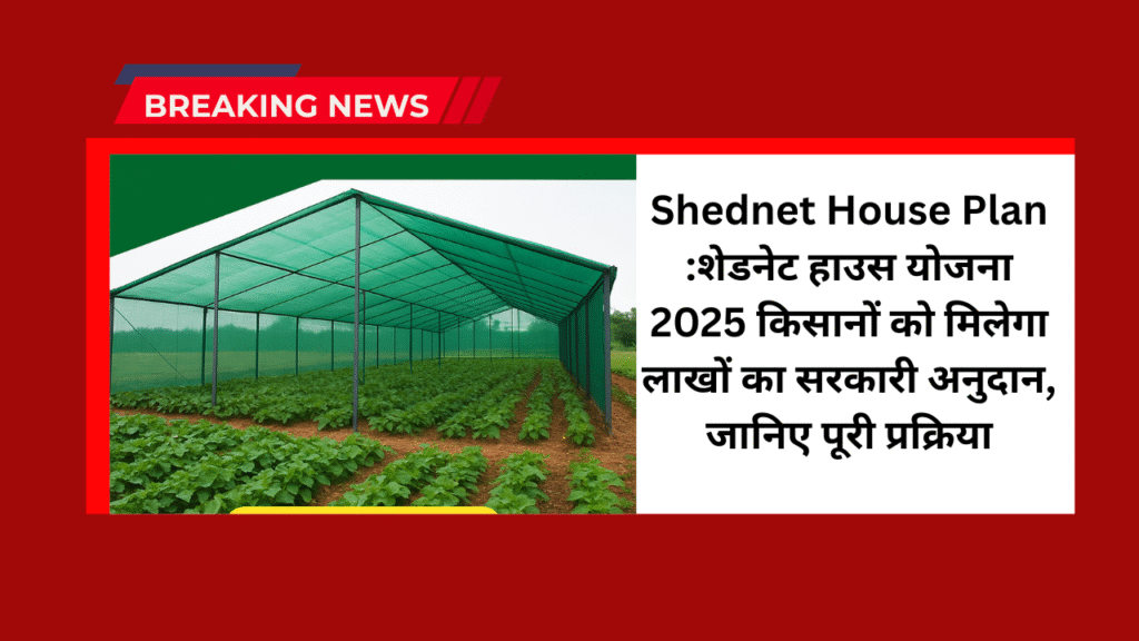 Shednet House Plan :शेडनेट हाउस योजना 2025 किसानों को मिलेगा लाखों का सरकारी अनुदान, जानिए पूरी प्रक्रिया 1 Shednet House Plan