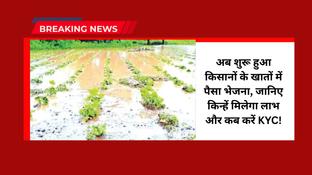 Maharashtra Rabi Subsidy 2025