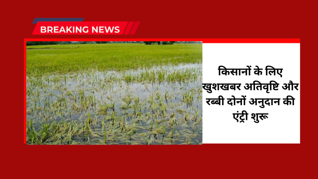 Heavy Rain Subsidy Latest Update